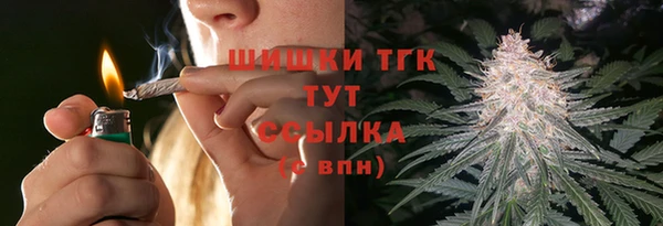 прущие грибы Абдулино