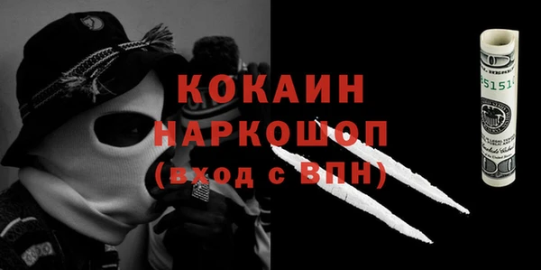 гашик Алзамай