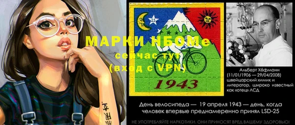 гашик Алзамай