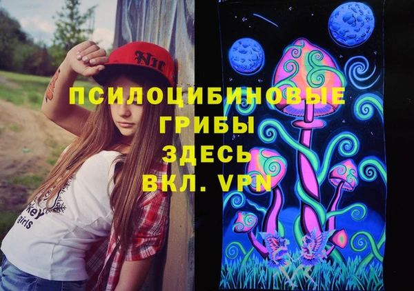 прущие грибы Абдулино