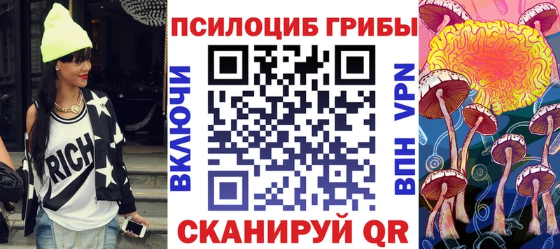Псилоцибиновые грибы мицелий  купить наркотик  Пыталово 